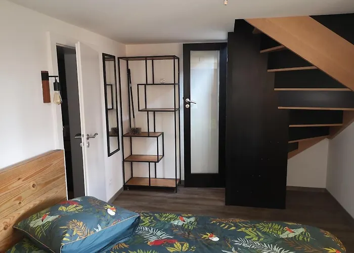 La Serotine * 热拉梅